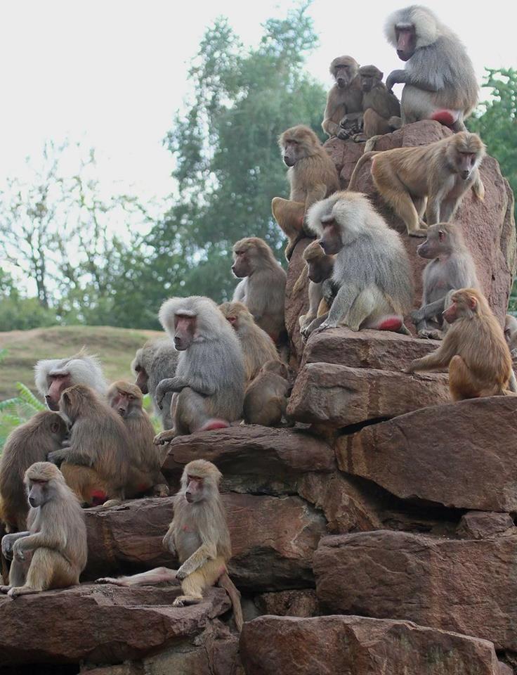 hochschule in Zweibrücken