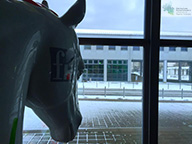 hochschule kaiserslautern campus zweibrucken 