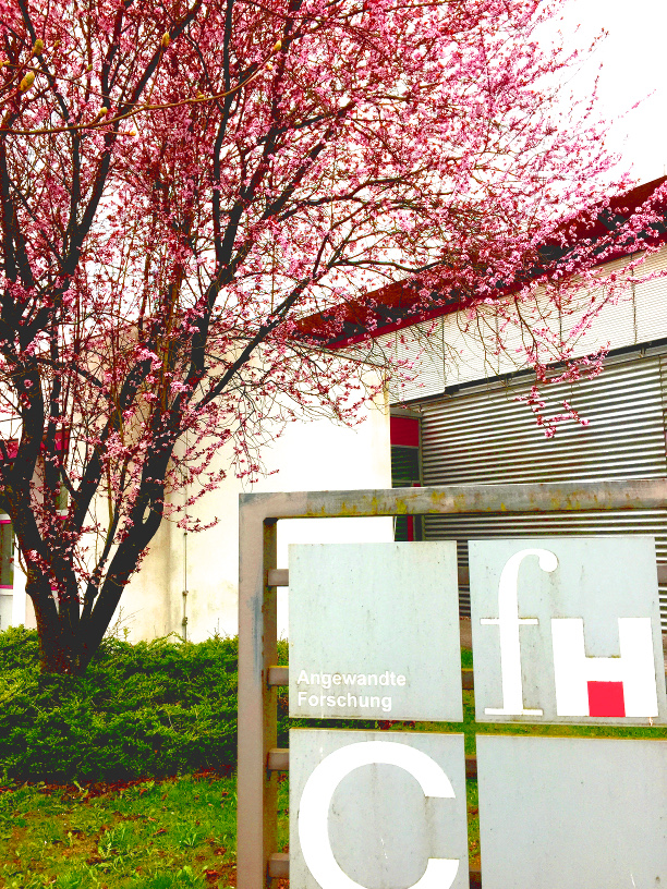 hochschule in zweibrücken