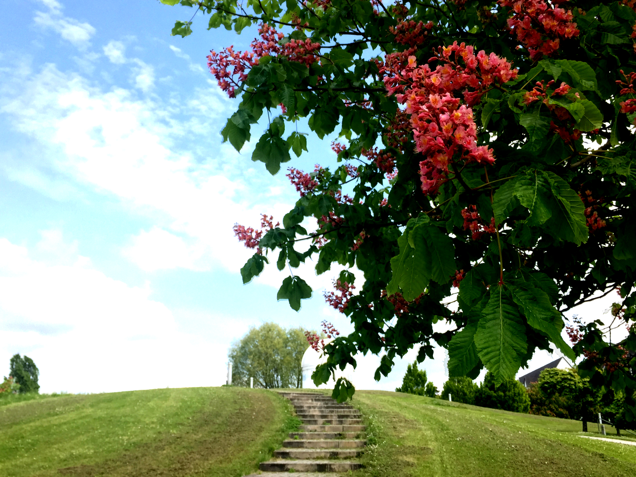 Hochschule in Zweibrücken