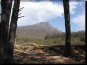 stellenbosch